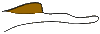 Fersenhoecker des Teichfrosches